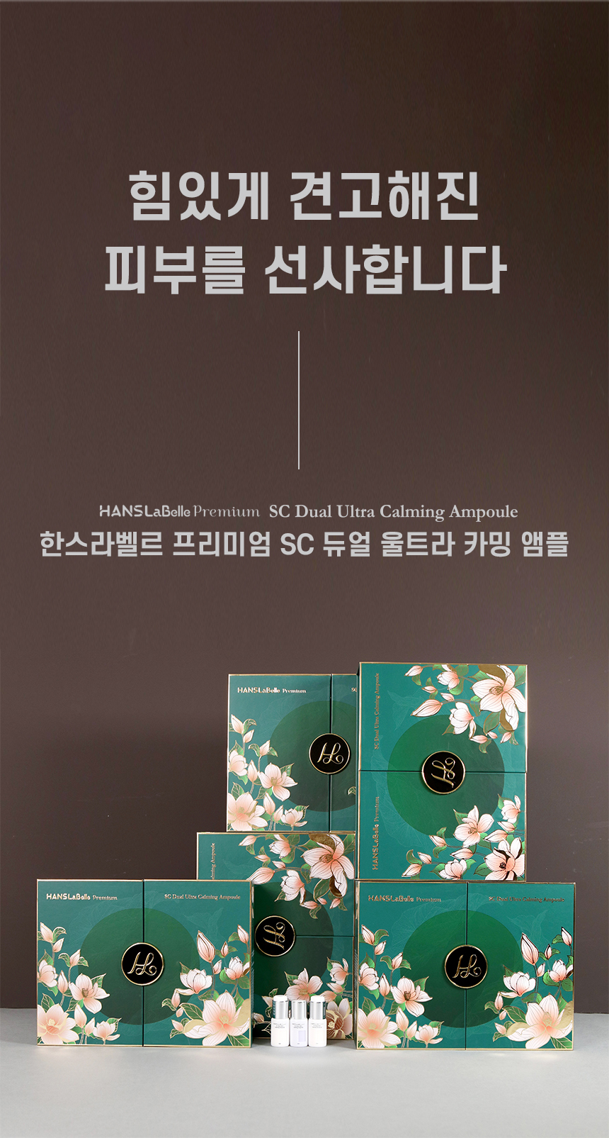 디엔에이씨 이미지